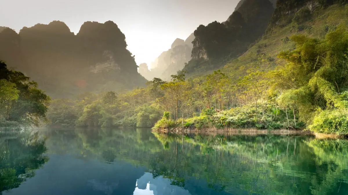 绿色高端高端